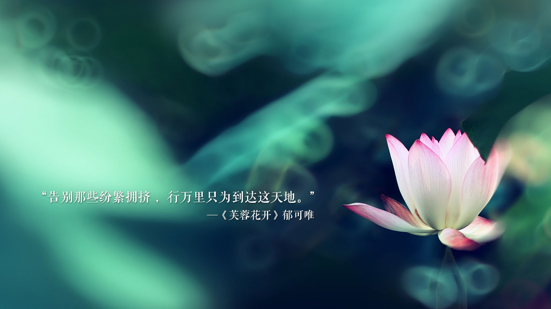 九游登录中心-中国足球的职业联赛薪酬管理体系建设方案实施，足球联赛薪水排行榜2019