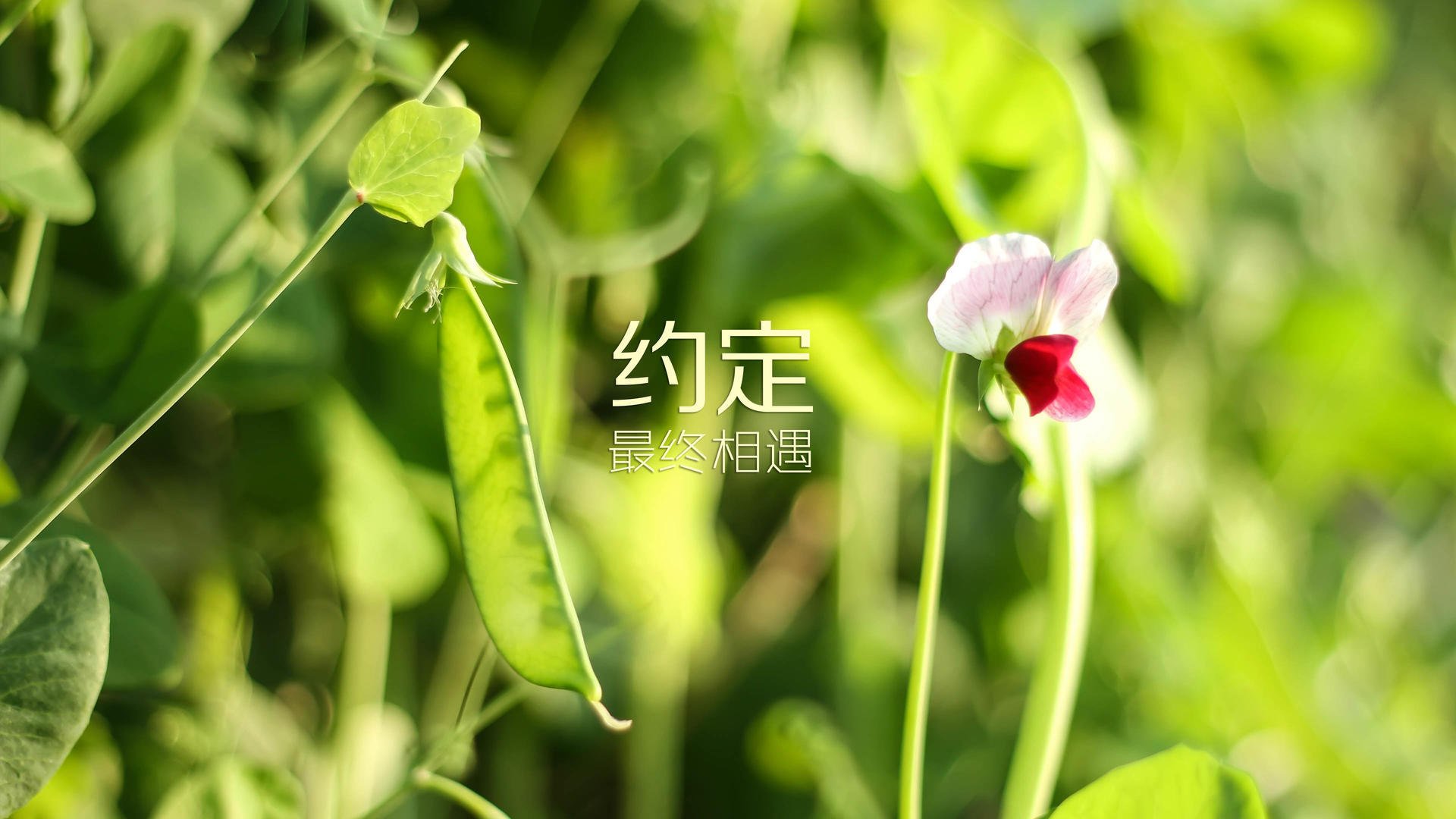 激烈体操自由体比赛动作难度再升级，自由体操训练视频