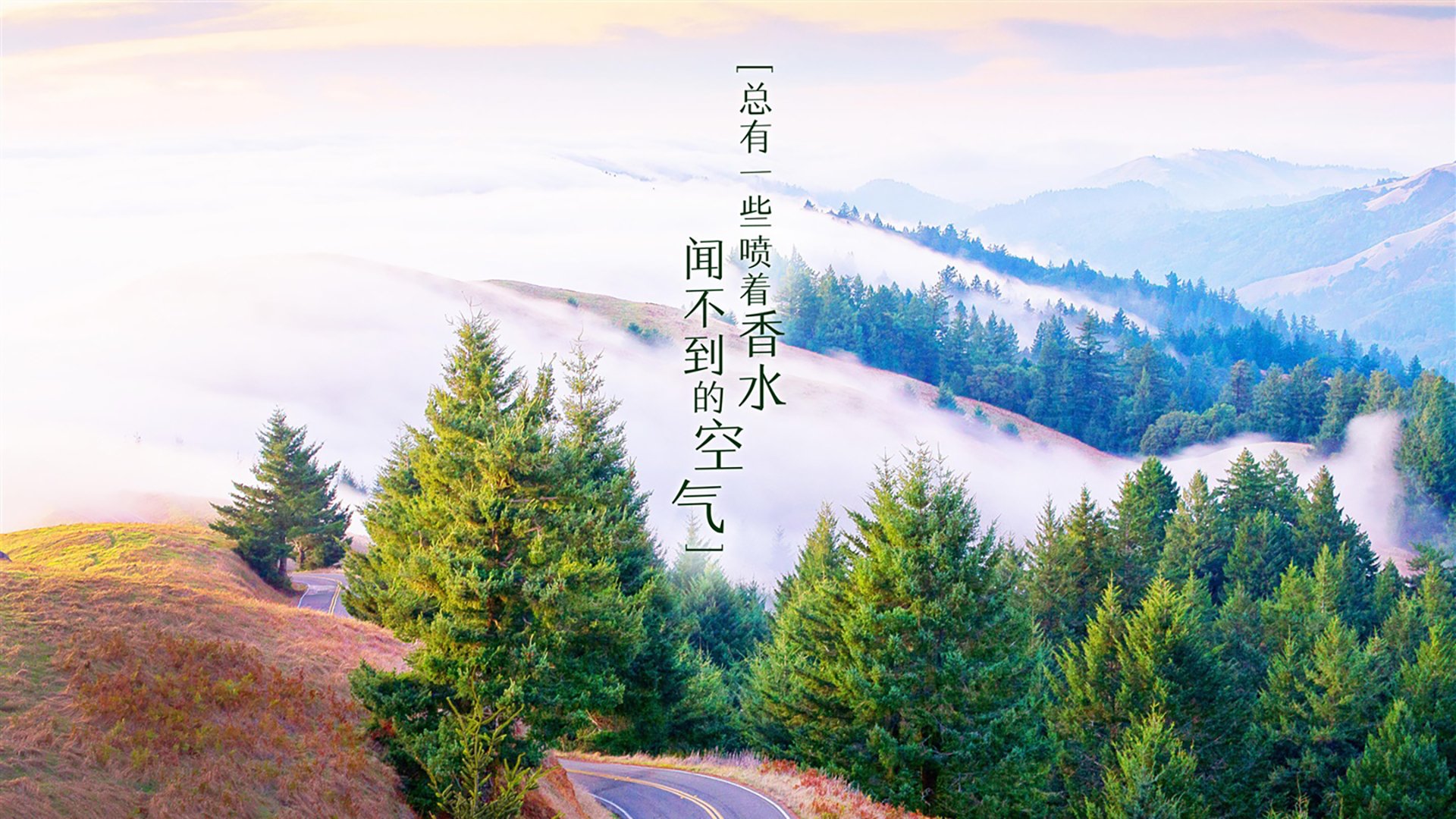 雷加利斯主场大胜，连续两场取胜，雷加利斯足球俱乐部
