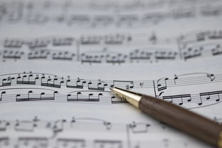 九游网页版官网-NBA球员职业规划建议与实施，nba球员怎么规划锻炼和训练