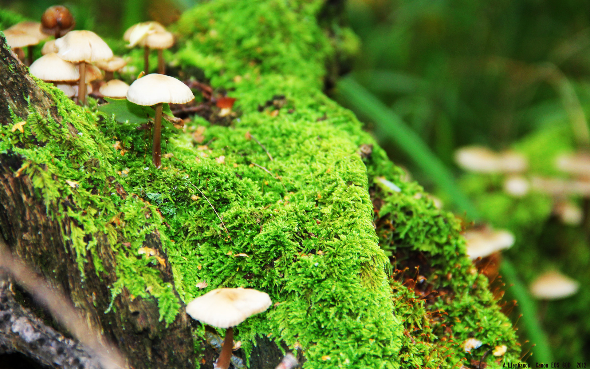 NBA球员职业规划建议与实施,nba球员怎么规划锻炼和训练