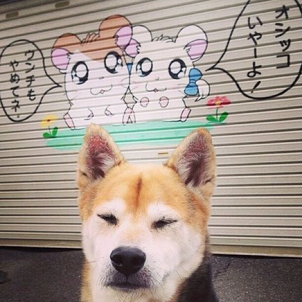 中国篮球职业联赛经济效益分析及可持续发展路径,中国篮球职业联赛的看法