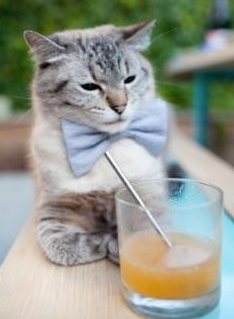 篮球运动赛事观众互动体验提升研究,篮球比赛观众席