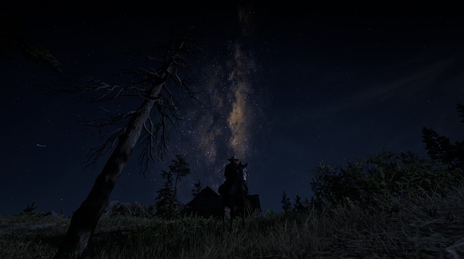 高校体育专业发展趋势分析及人才培养对策研究,关于体育专业未来的发展趋势