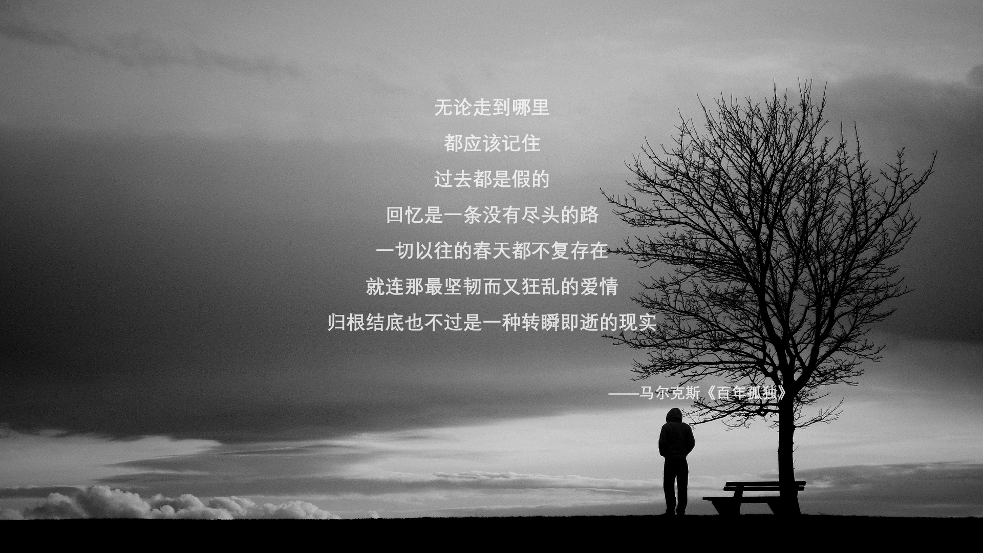 中国女篮保持快速反击体系流畅运转,中国女篮虽败犹荣