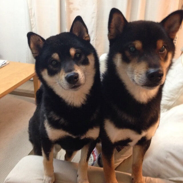 九游正版入口-亚洲杯中国足球晋级 球员状态稳定发挥，足球亚洲杯中国队名单