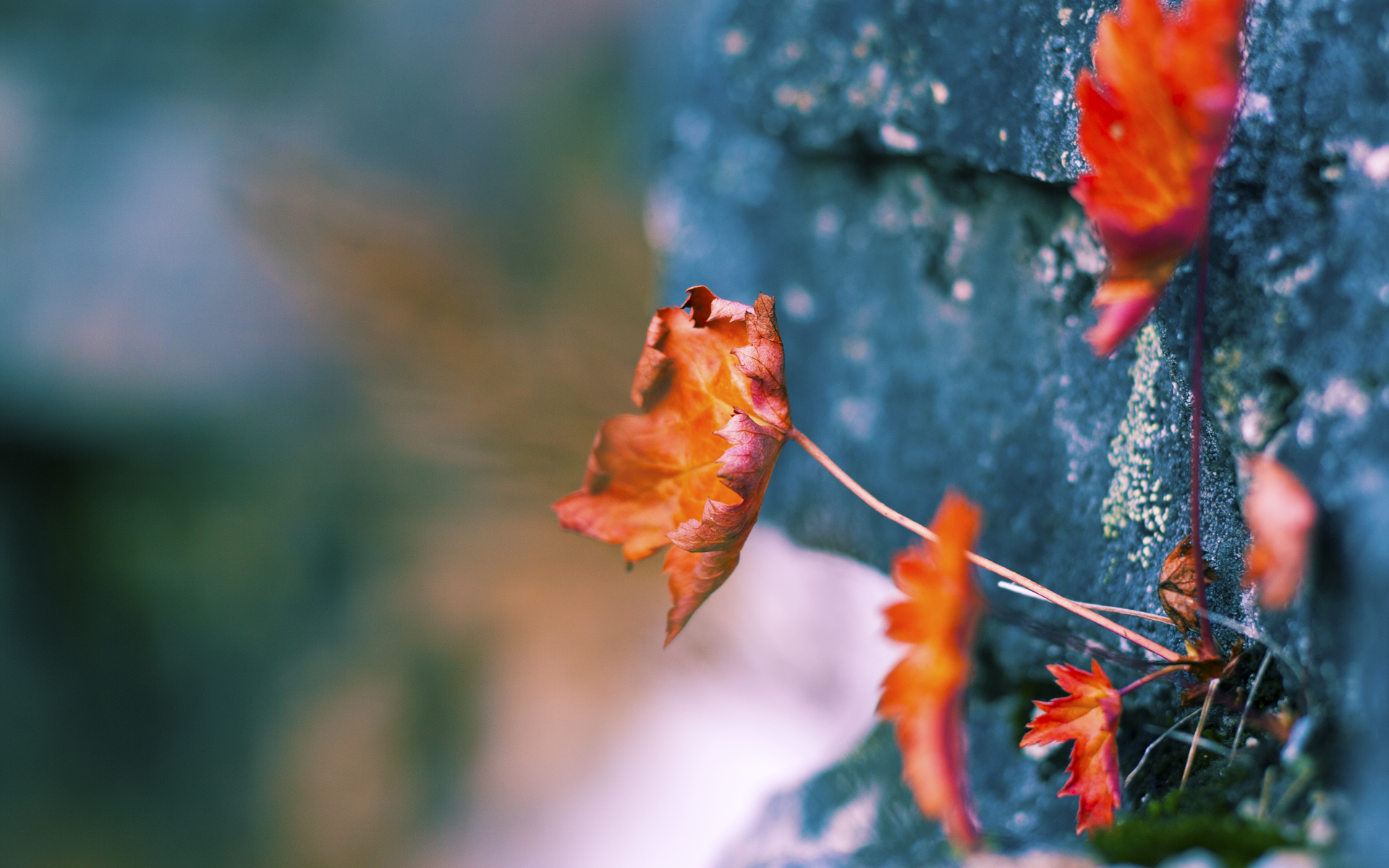-比赛节奏突变对球队心态的影响程度，节奏突破过人