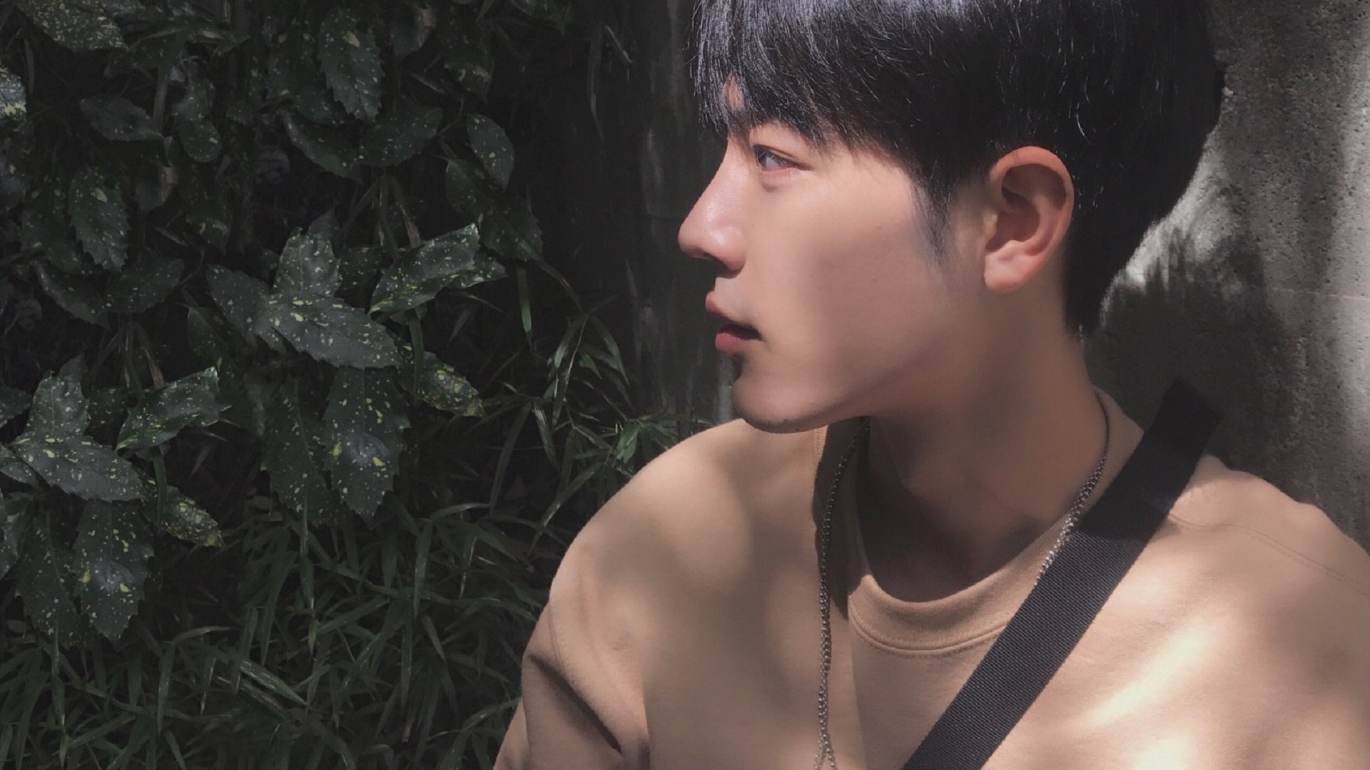 美国队在国际乒联混合团体世界杯中的亮点与不足,美国乒乓球赛事