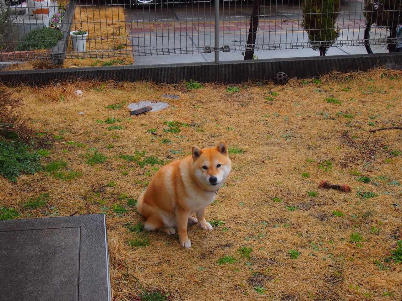 世界杯激情封神夜:那些让人热泪盈眶的刻骨铭心!,世界杯激情歌曲