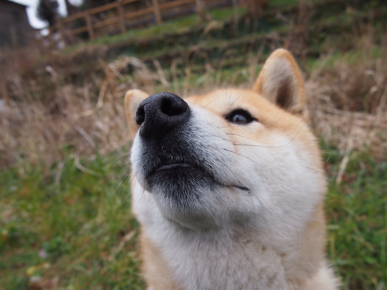 九游下载安装-乌拉圭队状态火热，期待在国际舞台再创佳绩