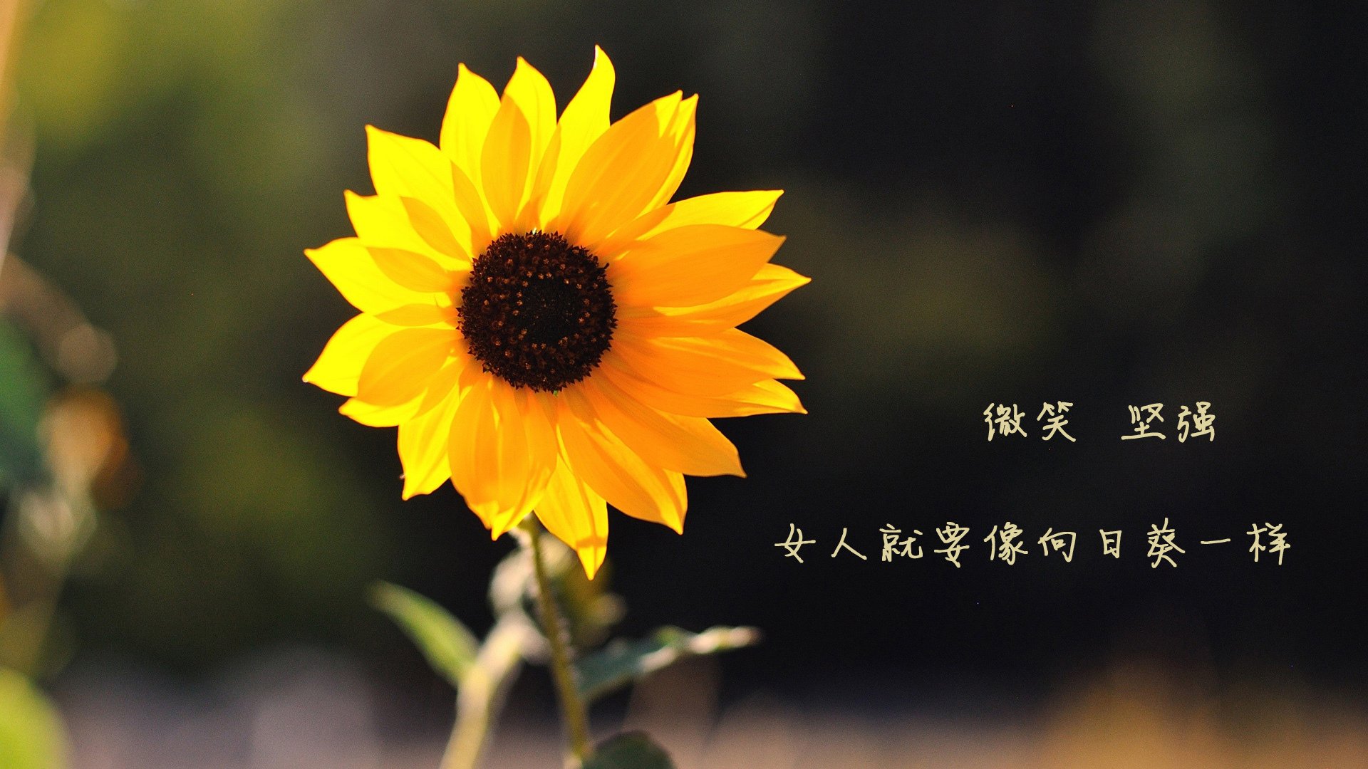 -国家队模拟紧急比赛场景提升突发应对能力，国家队模拟紧急比赛场景提升突发应对能力的措施