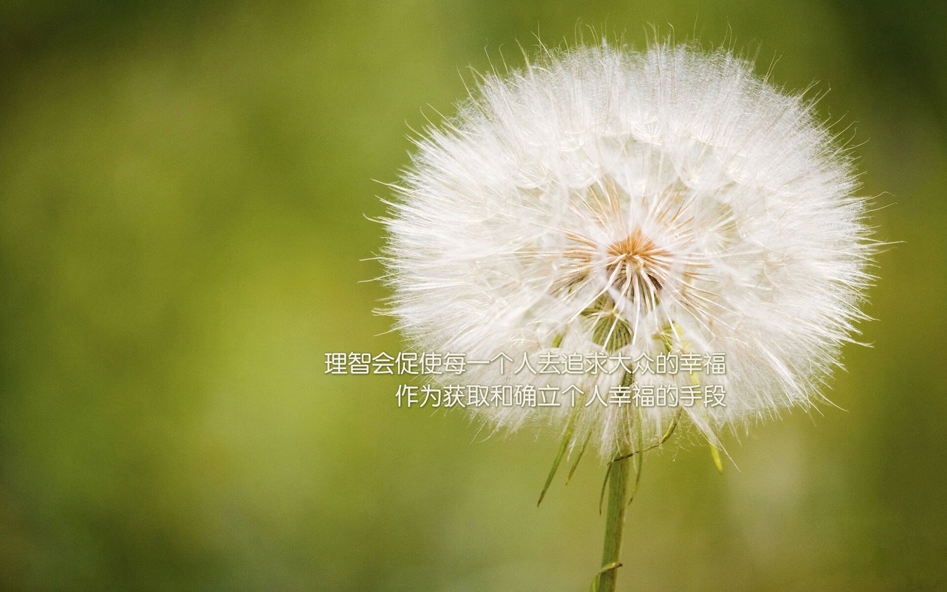 混合泳个人赛比利时选手全面发挥，混合泳比赛泳姿顺序