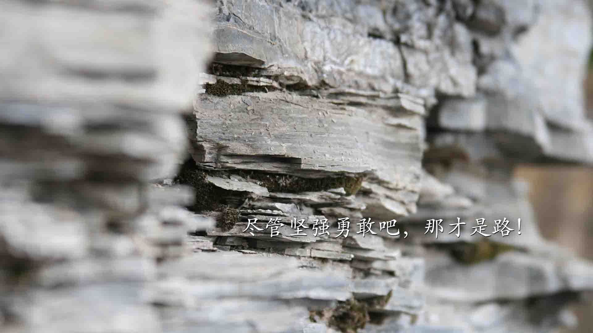 九游下载安装-澳大利亚传奇麦克沃伊再攀高峰，澳大利亚麦克布莱德