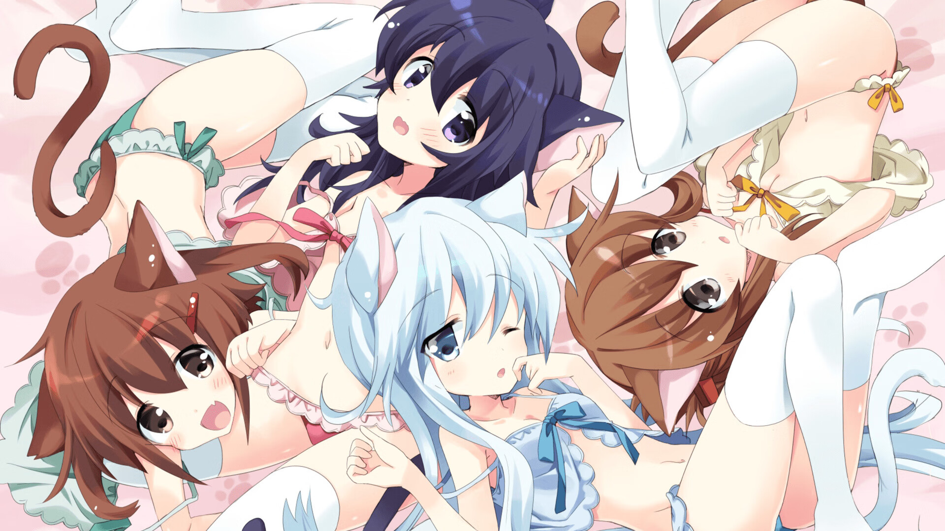 美洲杯激烈撞击：高手比拼，精彩不断！，美洲杯比赛视频